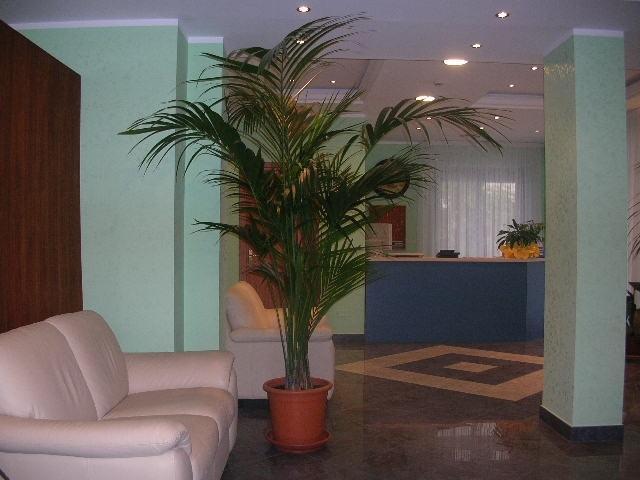 אקואפסה Sea Garden Hotel מראה חיצוני תמונה
